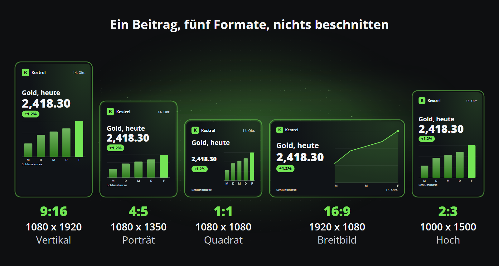 Ein Beitrag in fünf Bildformaten, 9:16, 4:5, 1:1, 16:9 und 2:3, jedes für sein Bildformat gestaltet und nicht zugeschnitten